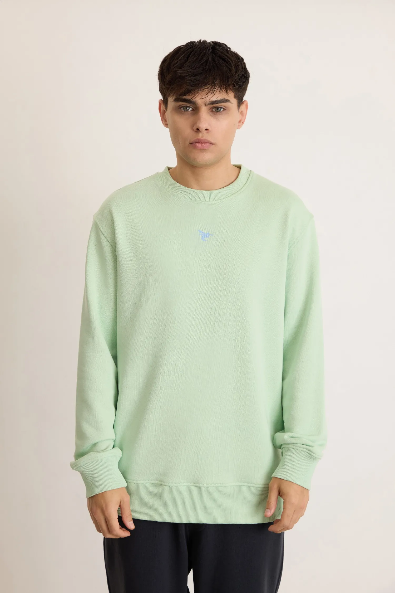 Men’s Sweatshirt – Never Enough – Mint – 70% Cotton / 30% Polyester – 320 GSM – Ready To Fight (RTF) 