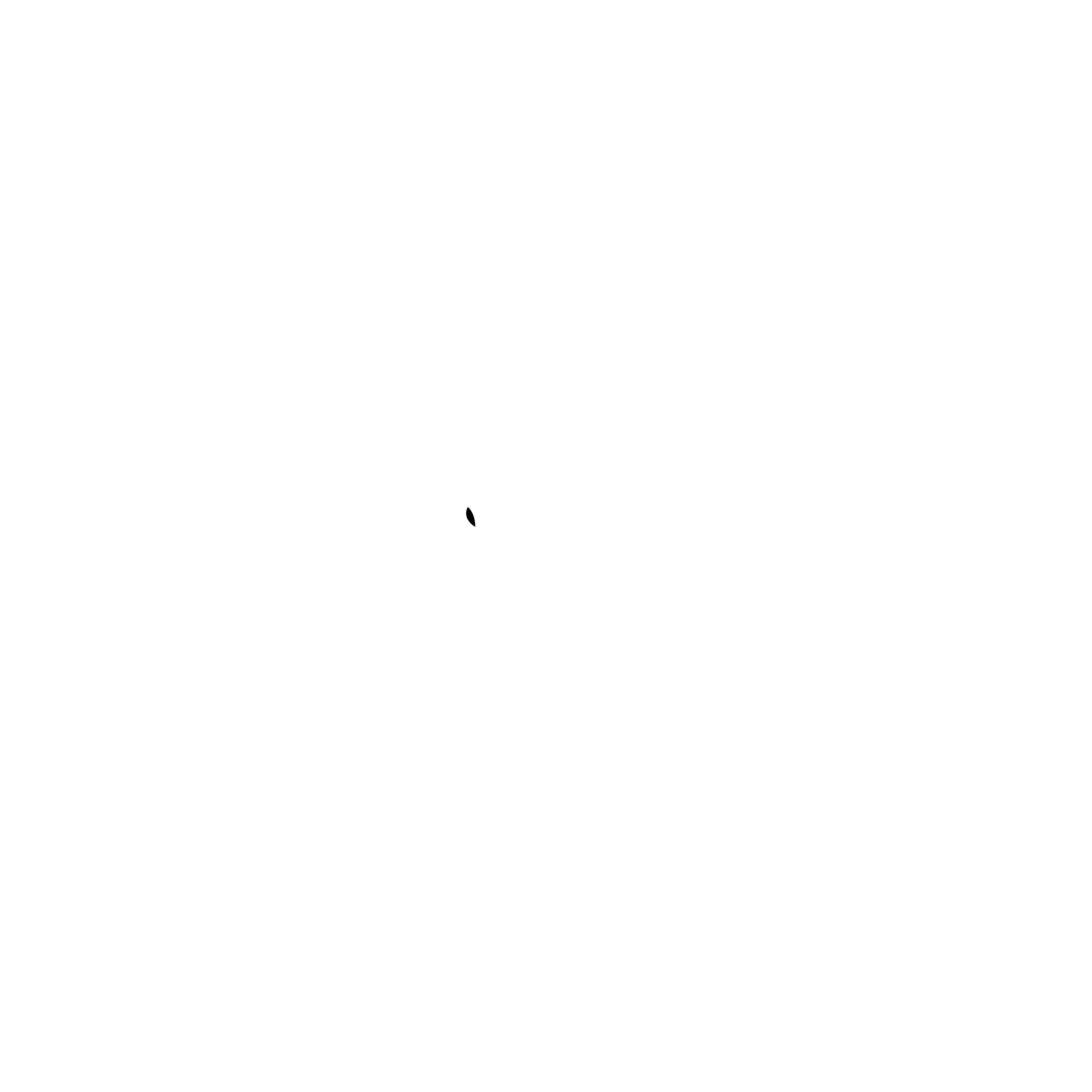 READY TO FIGHT